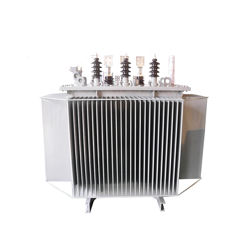 22kv Power Transformer 1000kva Olje nedsenket