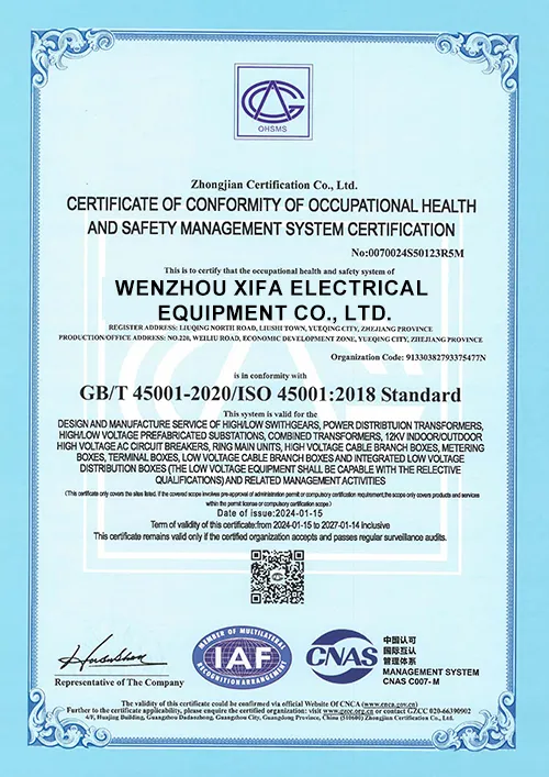xifa GB/T 45001-2020/ISO 45001:2018 Standard